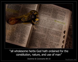 All wholesome herbs god hath ordained